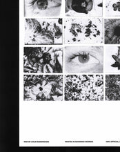 画像をギャラリービューアに読み込む, IRIS (Poster taken by Colin Sussingham) / Friend Editions