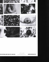 画像をギャラリービューアに読み込む, IRIS (Poster taken by Colin Sussingham) / Friend Editions