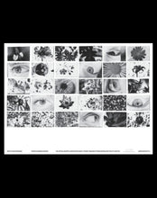 画像をギャラリービューアに読み込む, IRIS (Poster taken by Colin Sussingham) / Friend Editions