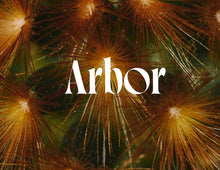 画像をギャラリービューアに読み込む, (セット用プラス価格)Arbor Hair Oil × Refill Diffuser set