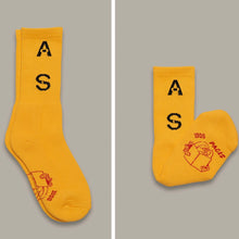 画像をギャラリービューアに読み込む, Actual Source / CCTV Socks