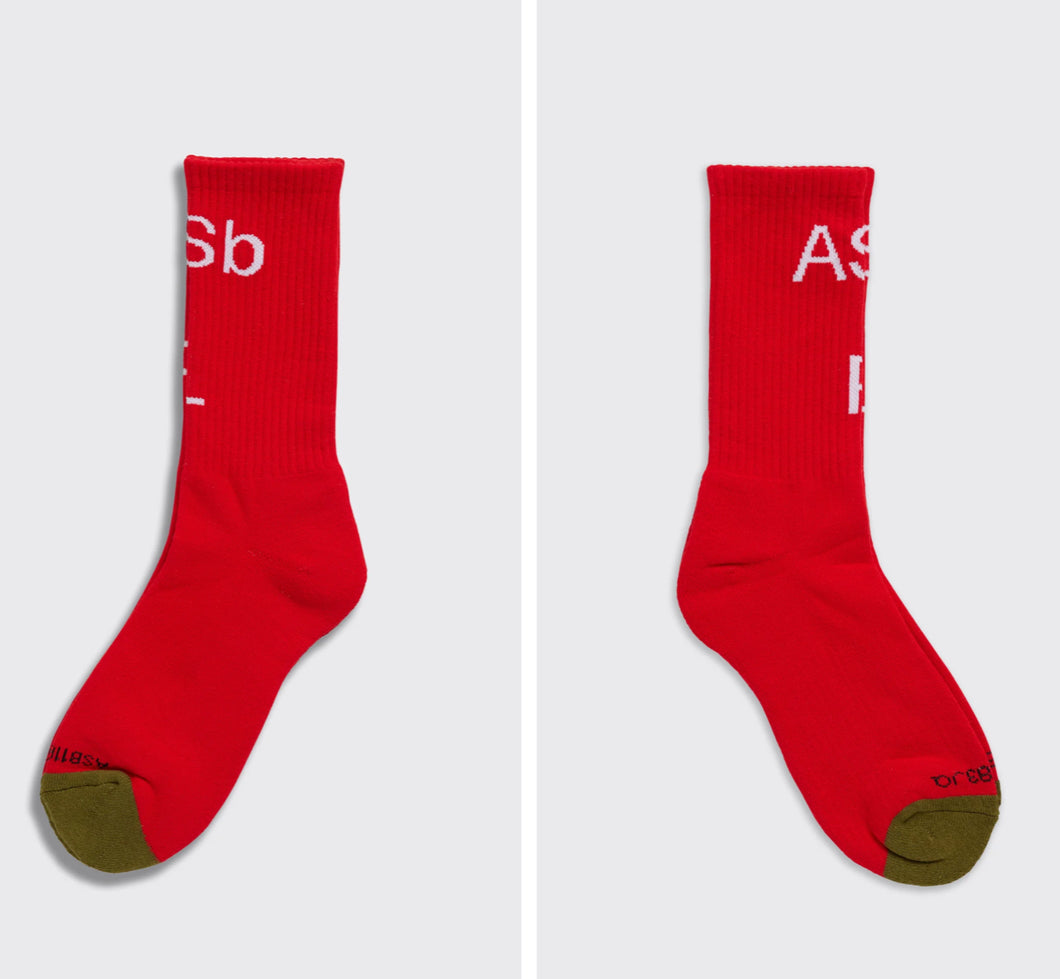 Actual Source Books / ASbRL Socks