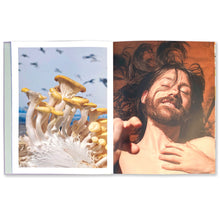 画像をギャラリービューアに読み込む, Gallery Commune / &quot;A Spell Too Far&quot; Lina Sun Park&amp;David Brandon Geeting
