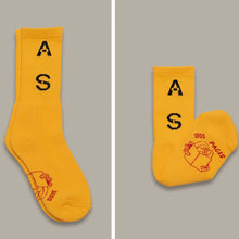 画像をギャラリービューアに読み込む, Actual Source / CCTV Socks
